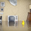 Flood Insurance